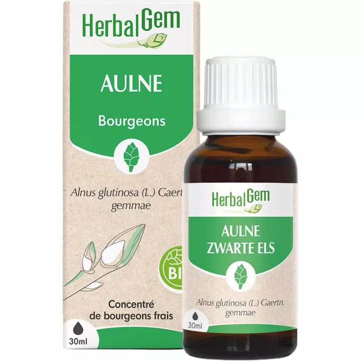 Herbalgem Aulne Glutineux Bourgeons Bio 30 ml