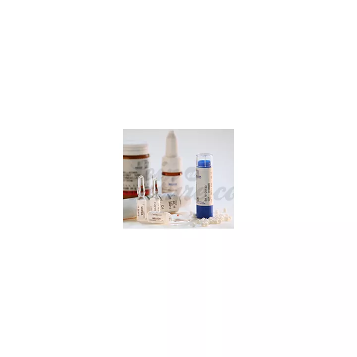 Allium ursinum TM vermifuge naturel 12 Suppositoires pour enfant