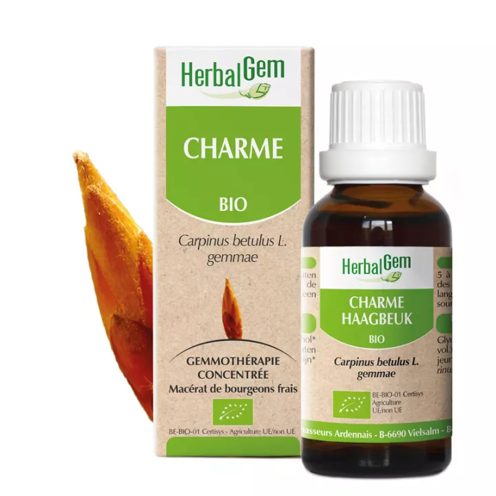 Herbalgem Charme jeune pousse macérat glycériné Bio 30ml