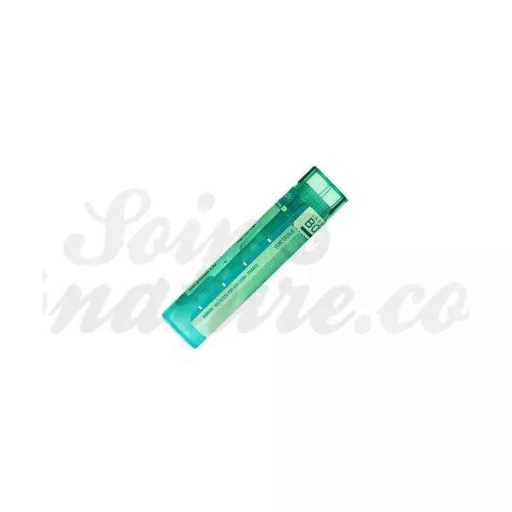 CORNEE 4CH 5CH 7CH 9CH 15CH 30CH granules Homéopathie Organothérapie Sarcode Boiron