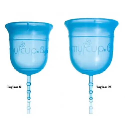 Coupe Menstruelle Cristal Amycup S