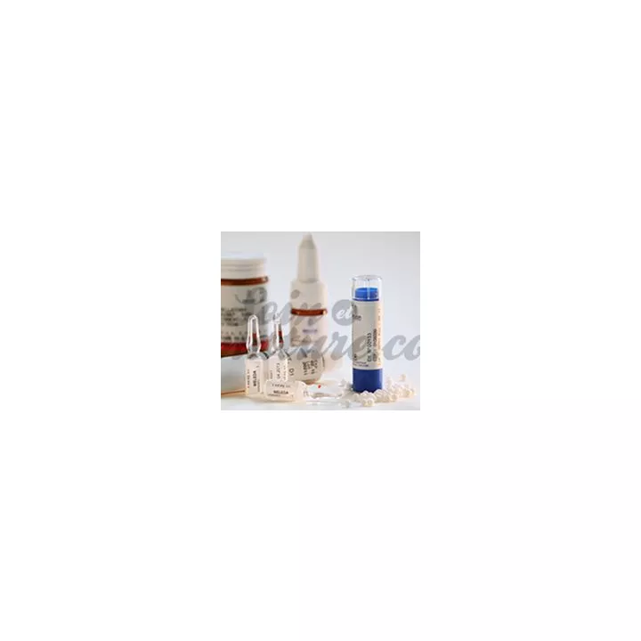 Ambra grisea Weleda D15 D30 Tube granules homéopathie