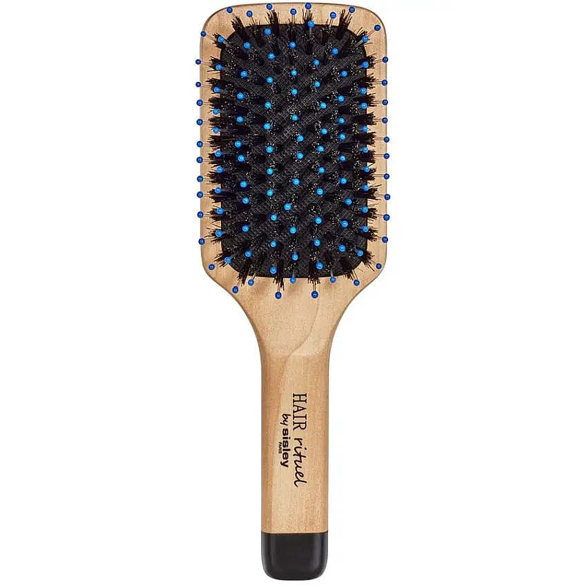 HAIR RITUEL by SISLEY Brosses