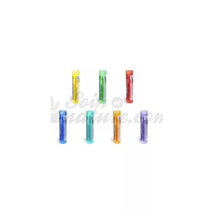 ALUMINIUM METALLICUM Boiron Granules homéopathiques