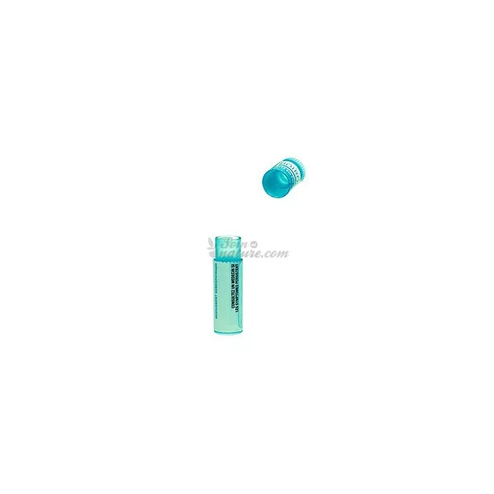 AMBRA GRISEA 200K MK 10MK doses ou granules dilution Korsakovienne Boiron