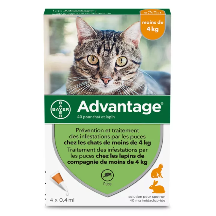 Advantage 40 Chat et Lapin pipettes anti-puces