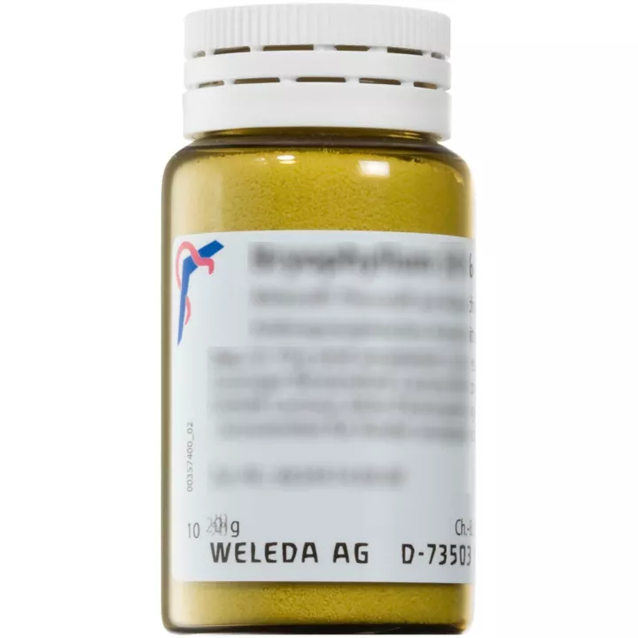 ARGENTITE D6 Trituration homéopathique Poudre orale Weleda*