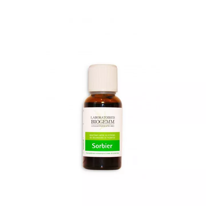 Macérat bourgeon Sorbier Bio 30 ml Gemmothérapie Biogemm