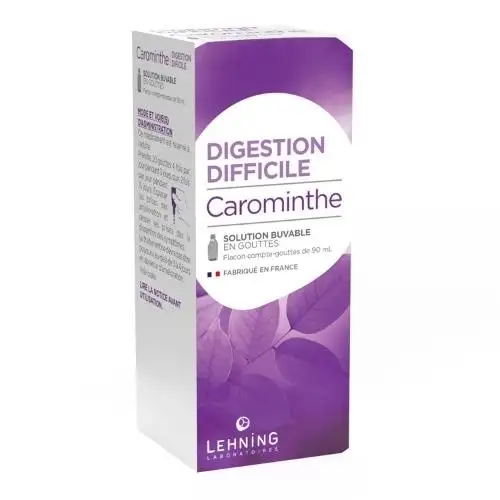 CAROMINTHE Lehning 90 ml