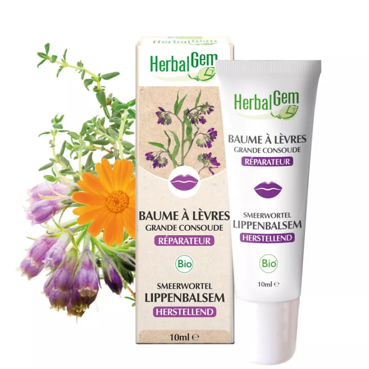 Herbalgem Baume Lèvres à la Grande Consoude Réparateur 10 ml