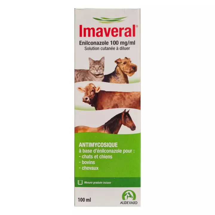 Imaveral Enilconazole 100 mg/ml Antimycosique Solution Cutanée