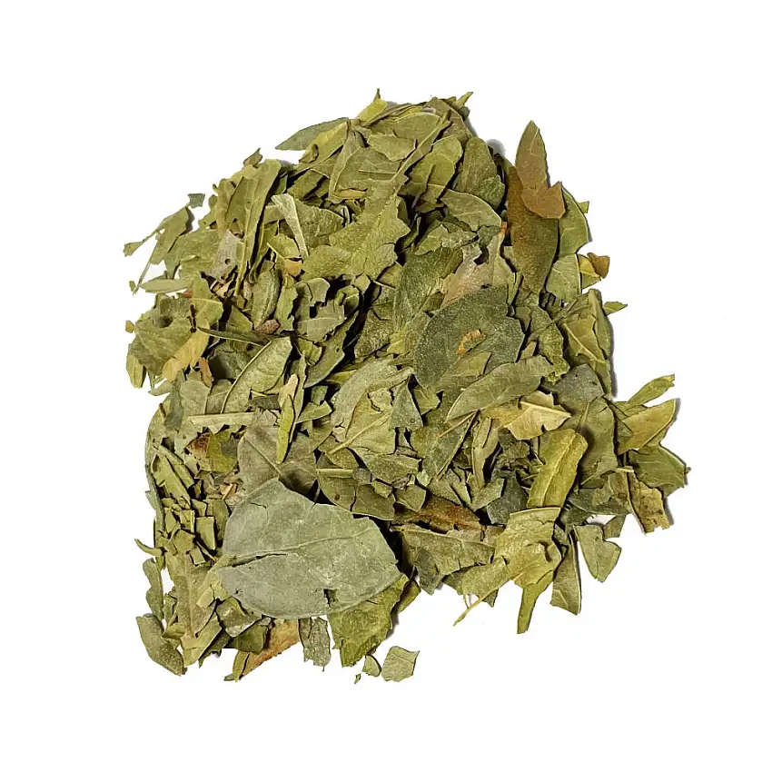 Boldo en vrac - feuille entière 100G
