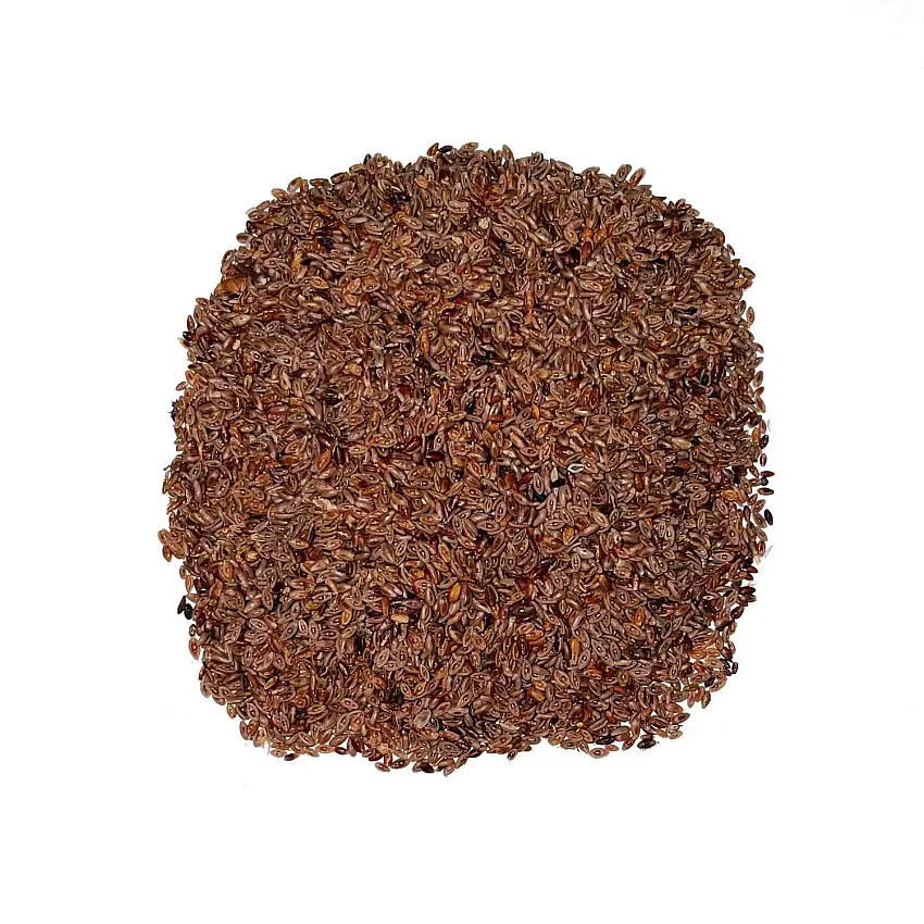 Ispaghul en vrac - semence entière 100G