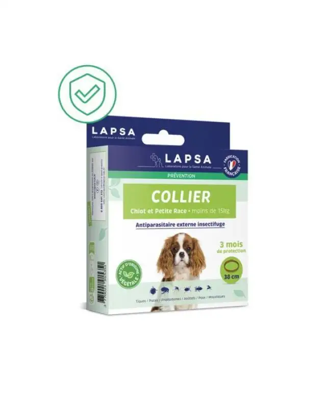 Collier Chiot et Chien Petite Race - 38cm