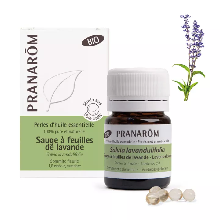 Pranarom Huile Essentielle Bio de Sauge à feuilles de lavande