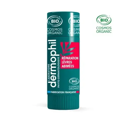DERMOPHIL INDIEN - Stick à Lèvres Réparation Abîmées Bio 4 g