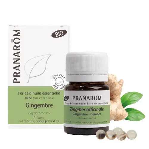 GINGEMBRE - Pranarom Huile essentielle Bio - 60 Perles