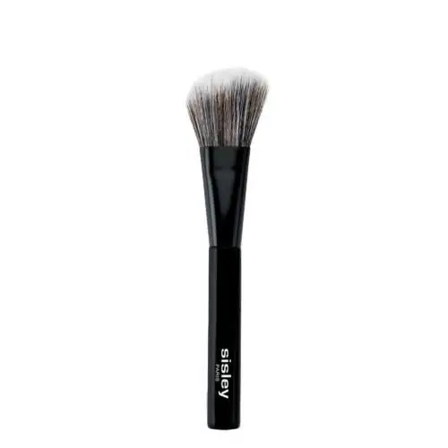 Pinceau Blush Pinceau biseauté Blush Poudre