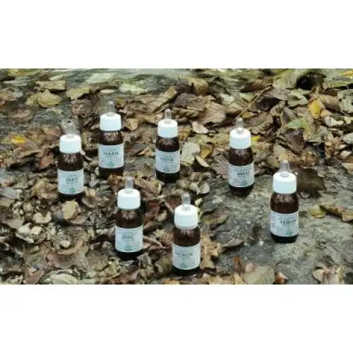 Alchemica Valgelata Ligne K Ka2 Huile de Massage 30ml