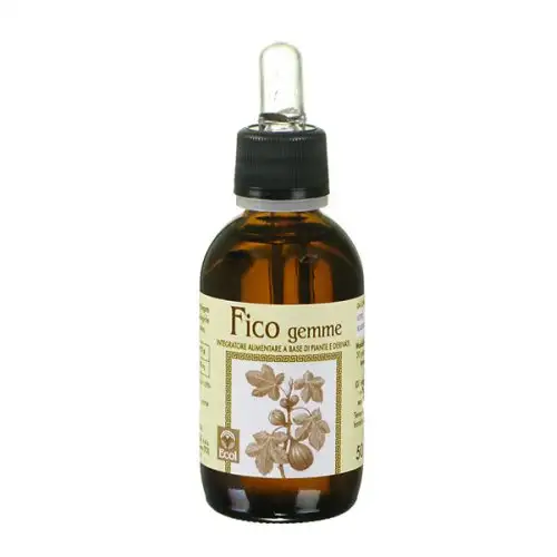 Ecol Figue Gemme Extrait Sans Alcool 50 ml