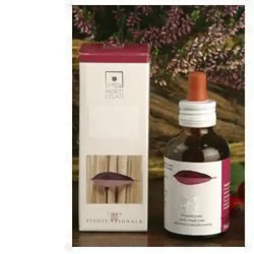 Santiveri Crataegus Oxyacantha Extrait Glycéroalcoolique 50 ml
