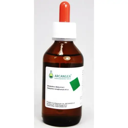 Arcangea Ribes Nigrum Complément Alimentaire 100ml