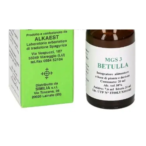 Alkaest Mgs3 Bouleau Mg Spg 20ml