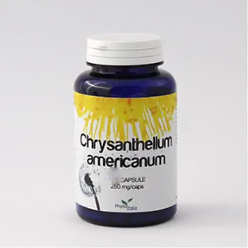 Phytoitalia Chrysantellum Complément Alimentaire Américain 60 Gélules