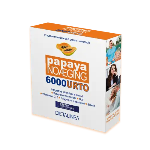 Dietalinea Papaye Noaging 6000 10 Sachets 6g