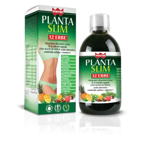 Winter Planta Slim 12 Herbes 500ml