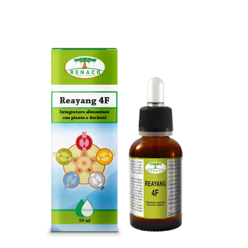 Renaco Reayang 4F Complément Alimentaire Gouttes 50ml