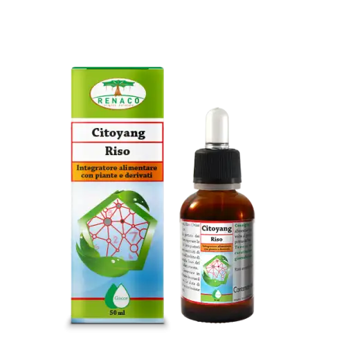 Renaco Citoyang Gouttes de Riz Complément Alimentaire 50ml