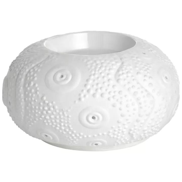 Puressentiel Diffuseur à Chaleur Douce Calvi