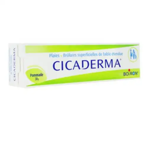 Boiron Cicaderma pommade 30g