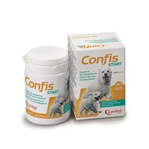 Confis Start 20 Comprimés