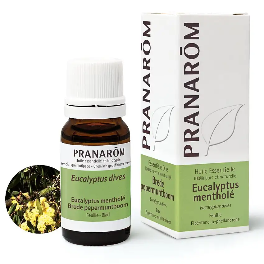 Pranarom Eucalyptus mentholé  10 ml