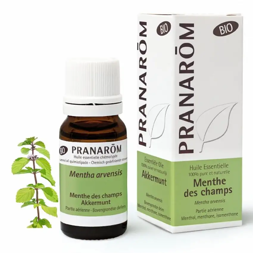 Pranarom Menthe des champs  10 ml