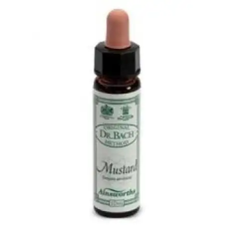 AINSWORTHS MOUTARDE 10ML