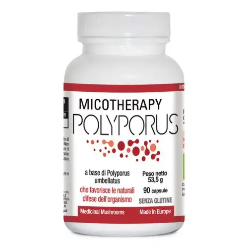 Avd Reform Micothérapie Polypore Complément Alimentaire 90 Gélules