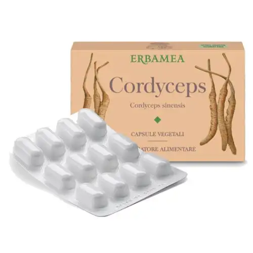 CORDYCEPS ERBAMEA 24 Capsules Végétariennes