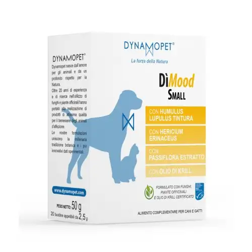 DIMOOD PETIT 20BUSTE