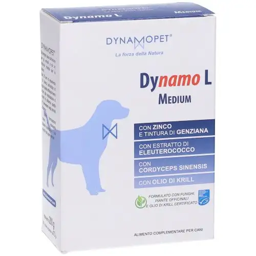 DYNAMO L MOYEN 20BUST 10G