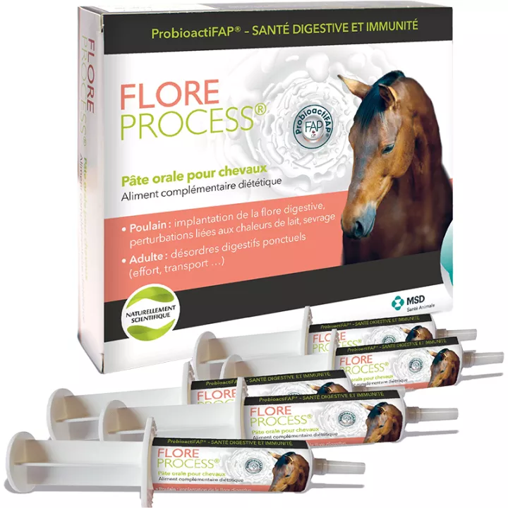 Flore process Cheval Poulain 5 seringues 20 ml