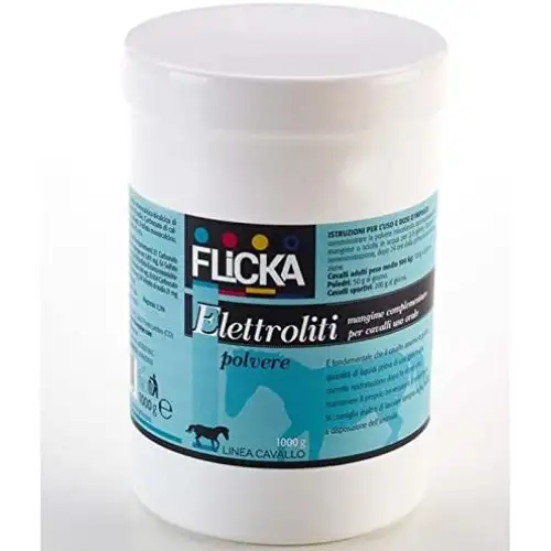 ÉLECTROLYTES 1000G