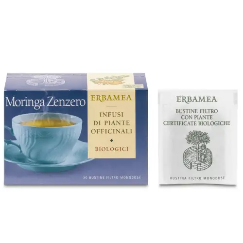Moringa Gingembre Erbaméa 20 Sachets