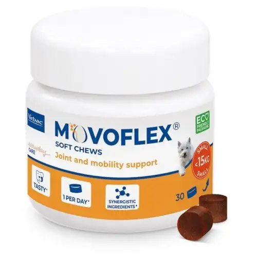 MOVOFLEX S 30CPR À CROQUER