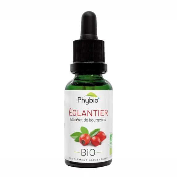 Oemine phybio Macérat de bourgeons bio 30 ml églantier