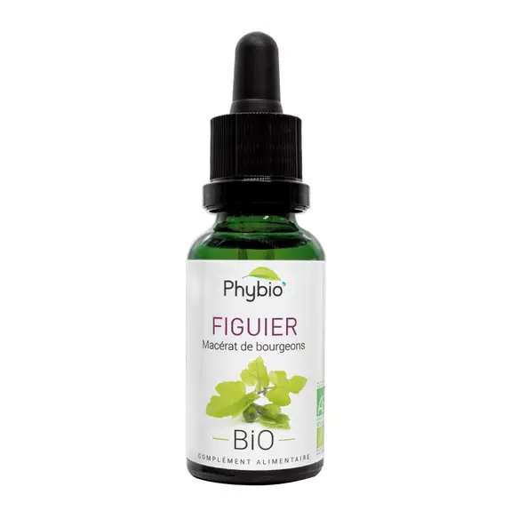 Anti gaspi 01/26 Oemine phybio Macérat de bourgeons bio 30 ml figuier