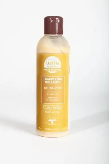 Terre de Couleur Shampooing intensité/brillance 200ml