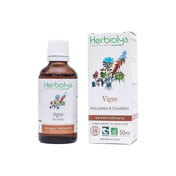 Herbiolys Bourgeons de Vigne 50ml Bio